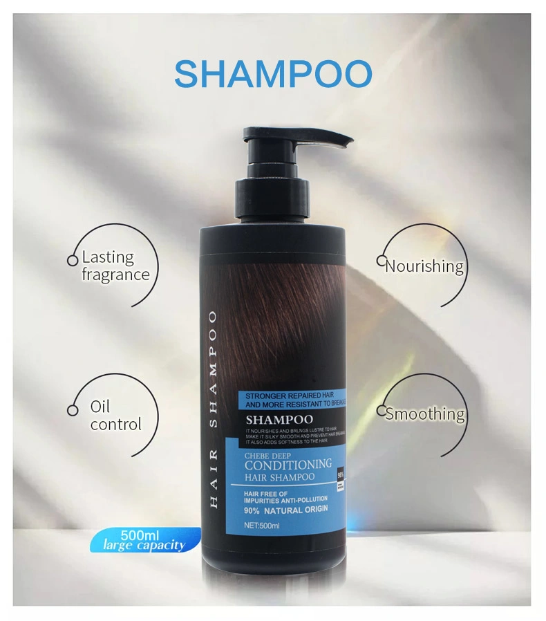 Cosmetics Hair Beauty Care for Moisturizing Cleansing Dandruff Salon Hair Shampoo